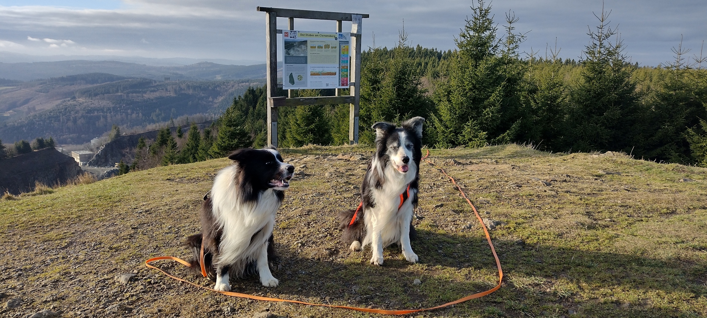 IMG_20251217_114509055_HDR
