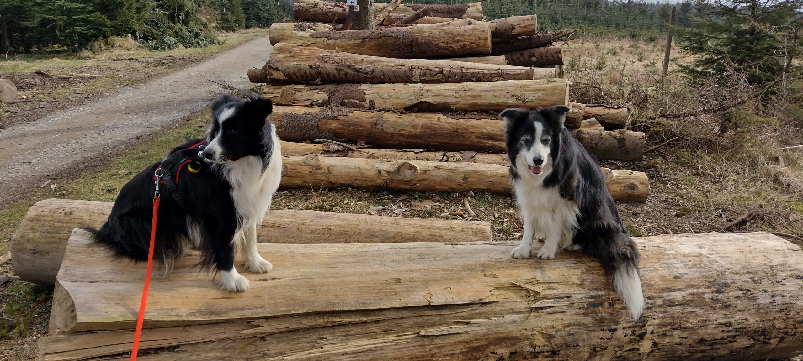 IMG_20240310_101850187_HDR